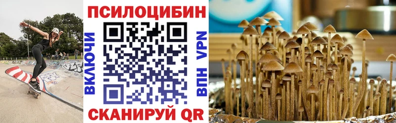 Галлюциногенные грибы GOLDEN TEACHER  Купить где  Катайск 
